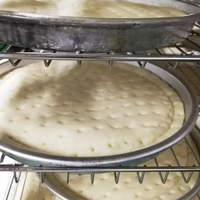 Pizza italienne surgelée Longyu, croûte fine, garniture au fromage, halal, vente en gros, prête à manger