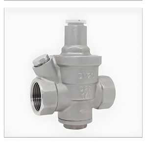 Régulateur d'eau manuel DN15 en acier inoxydable SS304 avec filetage femelle NPT/BSP pour système d'alimentation en eau - Product Image 2