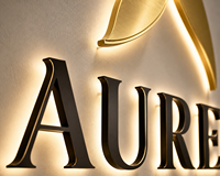 Papan Nama Bisnis Kustom  Papan Nama Bisnis LED Backlit Huruf Logo Stainless Steel Kustom Papan Nama Spa dan Studio Kecantikan Mewah