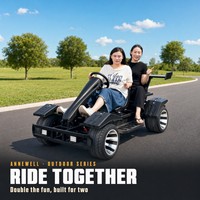 Kart électrique deux places, autonomie 50 km, roues en aluminium de 10 pouces, pour loisirs en plein air, parcs et fermes