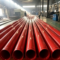 Tuyau d'incendie homologué UL avec revêtement fusionné par fusion