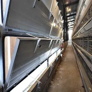 automatic poultry farming hot dip galvanized chicken cage system for chickens with auto chicken manure removal system