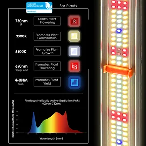 אור גידול LED הידרופוני 800w ספקטרום מלא ניתן לעמעום 3000K LM301B LM301H EVO לחקלאות אנכית