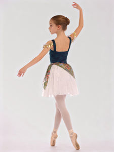 Anna Shi Nouveaux Designs Luxueux Tutu <span class=keywords><strong>de</strong></span> Danse Ballet en Spandex Violet avec Dentelle <span class=keywords><strong>de</strong></span> Jade - Product Image 5