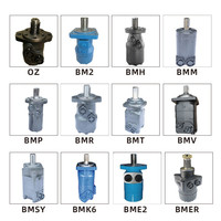 Moteurs cycloïdaux hydrauliques à couple élevé BMRS BMR 36/50/80/100/125/160/200/250/315/375 Moteur orbital pour tracteur