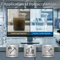 Polyacrylamide Anionique (APAM) Floculant pour la Coagulation des Eaux Usées des Cabines de Peinture et l'Élimination des Surpeintures – Produit Chimique