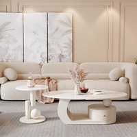 Table Basse Ovale de Designer Italien Moderne, Plateau Rocheux Luxueux pour Petit Appartement, Nouvelle Table Basse de Salon