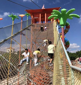 Équipement d'amusement extérieur personnalisé Hogwood comprenant toboggan et escalade volcanique pour enfants pour la <span class=keywords><strong>sortie</strong></span> de printemps - Product Image 4