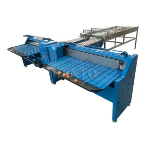 China Manufacturer Egg Weight Sorter / Egg Sorting Machine / Egg Weight Grading Machine