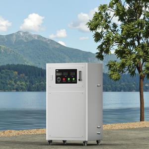 Generador de Ozono de Cuarzo de 30g 50g para Agricultura, Piscifactorías, Hoteles, Garajes y Automóviles - Máquina de Ozono Refrigerada por Agua - Product Image 1