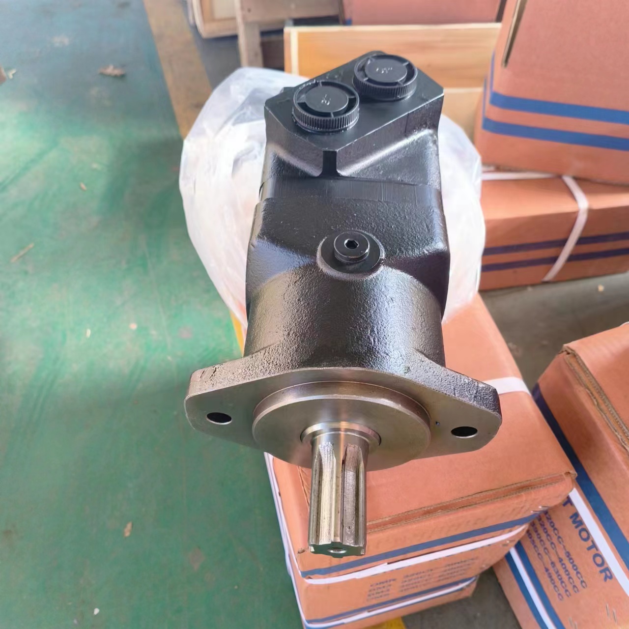 BMTE-315-Z2Z9F6 White Hydraulic Motor - High Pressure Orbit
