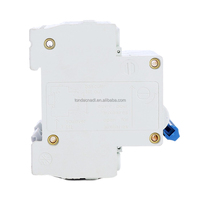 Wifi Smart Miniatura Disyuntor Tipos Carcasa Micro Disyuntor Interruptor Mcb Precio Dc Disyuntor Solar para baterías