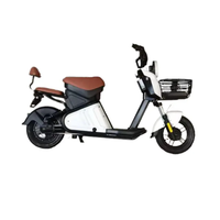Batterie de vélo électrique de stockage, acier, Paige, vente directe d'usine, vélo électrique fabriqué en Chine, logo personnalisé pour adultes, batterie au lithium 60V