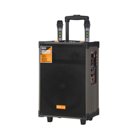Subwoofer Trolley Kayu 12-Inci Grosir OEM LED Satu Warna 50W HIFI untuk Baterai Isi Ulang Dual Full-Range