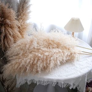 Plumas de Hierba de Pampas Seca Natural Extra Grandes de 100 cm para Decoración de Bodas y Estilo del Hogar, Tallos de Hierba al por Mayor - Product Image 6
