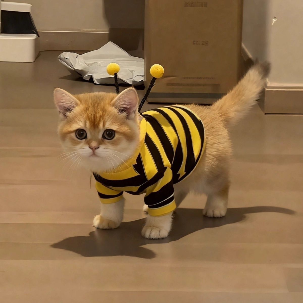 Jaune