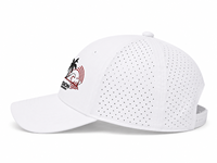 Casquette de baseball personnalisée avec logo brodé plat, 100% coton sergé blanc, visière incurvée, style Dad Hat, unisexe, sportive et décontractée, motif Fruits/Léopard Quatre