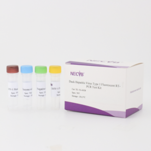 DHV-1 형광 RT-PCR 검출 키트 | 오리 간염 바이러스 유형 1 | 프로브 기반 qPCR - Product Image 1