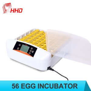 Incubateur à œufs automatique Wonegg, vente en gros, très demandé, 56 œufs, avec plateau à œufs de poule inclus, taux d'éclosion de 98% - Product Image 3