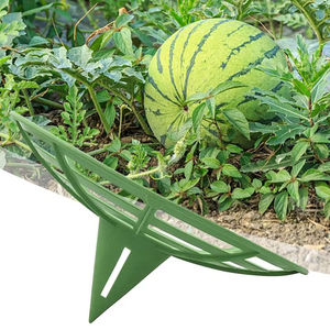 Support pour melon, support pour fruits, support pour légumes, plateau de culture, panier de support, cadre de protection pour courgettes et citrouilles - Product Image 2