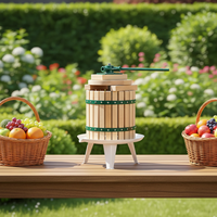 XH Model 001 Hoge Efficiëntie Commerciële Sapcentrifuge Gezonde Houten Spiralenmotor Multifunctioneel Eenvoudige Bediening Fruitpers