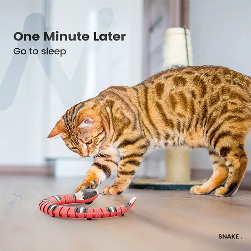 Otomatik kedi oyuncaklar interaktif akıllı algılama kediler için yılan TeaseToys USB şarj