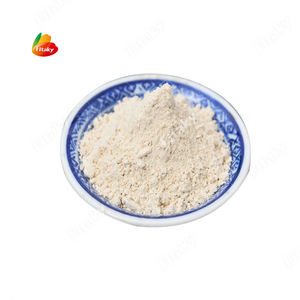 Polvere di rafano verde polvere di rafano Wasabi Halal pasta di polvere di Wasbi rafano - Product Image 3