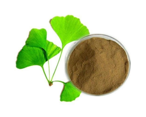 Extrait de Ginkgo Biloba 24% Flavones en poudre testé HPLC, poudre de feuilles végétales, ingrédient végétal naturel pour complément alimentaire - Product Image 3