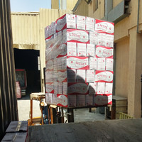 Petite Macaroni Vermicelli Turque de Haute Qualité, Couleur Or, Emballage en Sachet, Certifié ISO 9001 Halal, Pâtes Égyptiennes, Meilleur Prix