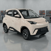 Gran Oferta EV 2026: Nuevo Vehículo Eléctrico de 4 Ruedas de Bajo Costo para Adultos, con Batería de Litio, Aire Acondicionado y Fácil Conducción, Hecho en China