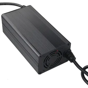 Intelligente Batterijlader 12V 24V 36V 48V 60V 72V 10a 12a 15a Voor Elektrische Golf Auto Slimme Sightseeing Bus Lithium Batterij