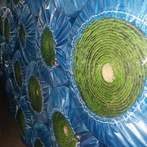Alfombra de Césped Artificial de Plástico para la Recolección de Oro Aluvial, Fácil Instalación y Paisajismo - Product Image 1