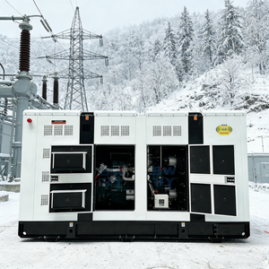 Générateur diesel à couple élevé de 30-250 kW pour l'agriculture et le traitement des produits, 380V/220V 50Hz, -25 ℃   Démarrage à froid, prêt pour les environnements difficiles - Product Image 1