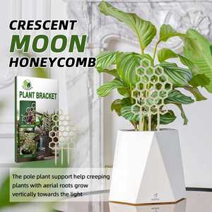 Upright Plant Support Trellis Stick Net Honeycomb Design Wooden Climbing Frame Potted Plants <b>Training</b> Stake for Growth Trainer - Product Image 3
