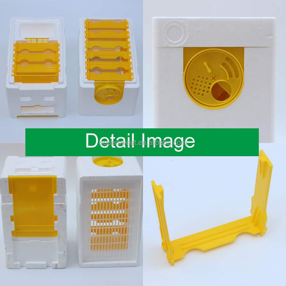 البلاستيك التزاوج النوافذ النحلية صناديق تربية النحل القصيرة الرغوة البوليستيرين صناديق النحل مجموعة بداية تربية النحل التزاوج ESP