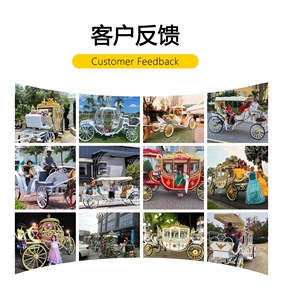 Hot Selling Royal Horse Carriage Manufacturer Wedding Vehicle Wagon Sightseeing Electric Horseless Carriage - Product Image 5