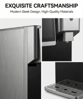 Fabricant OEM ODM de purificateurs d'eau RO électriques en plastique pour comptoir, avec fonction eau chaude/froide et machine à glaçons, pour la production d'eau potable