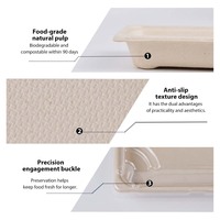 Boîte à sushi rectangulaire en pulpe de bagasse naturelle de qualité alimentaire avec couvercle en PET à clipser pour la vente à emporter, plateau d'emballage alimentaire pour restaurant japonais