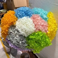 Fleurs préservées de haute qualité en gros, Hortensia à grandes feuilles blanc pur Anna pour la décoration de mariage, de maison et de fête