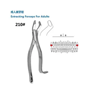 Orthodontic Dental Laboratory Adult Clinic Piler Tools Forceps Upper Wisdom Teeth