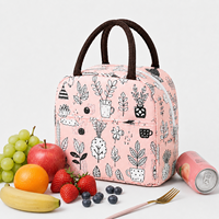 Sac isotherme pliable réutilisable pour pique-nique, vente directe d'usine, pour adultes, enfants, bureau, extérieur