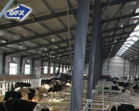 Grande structure en acier inoxydable, grange de vache, cadre en acier, toit en métal stable