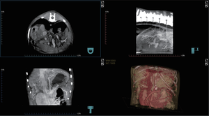 EUR VET Scanner <span class=keywords><strong>CT</strong></span> vétérinaire de haute qualité, équipement d'imagerie vétérinaire, scanner CBCT supraconducteur à vendre, hôpital vétérinaire - Product Image 6