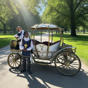 Nuevo lanzamiento para eventos especiales: Limusina turística estilo inglés, carruaje real con caballos - Product Image 1