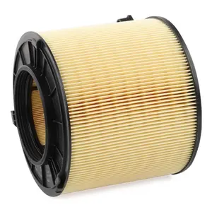 Factory wholesale high quality AIR filter C 17 013 auto parts air filter for MANN
