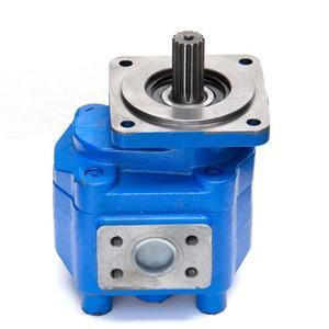 Pompe à engrenages hydraulique P3112 1163041833T 5337993 fabriquée en Chine - Product Image 2