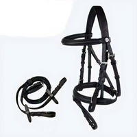 Harnais pour cheval à usage unique avec selle de style western pour la course