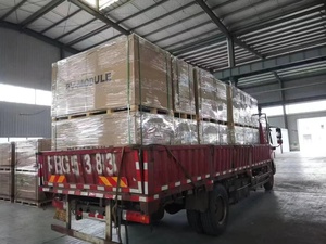 แผงโซลาร์เซลล์แบบโมโนคริสตัลไลน์ 550 วัตต์ 48 โวลต์ 560 วัตต์ 570 วัตต์ สำหรับบ้าน 550 วัตต์ 555 560 วัตต์ - Product Image 6