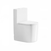 Toilette Minimaliste pour Petits Appartements en Céramique de Haute Qualité avec Siège à Fermeture Douce, Émail Anti-Taches, Idéale pour la Maison et les Hôtels