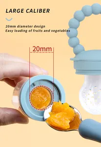 Custom BPA Free Reusable Slow Food Fresh Fruit Feeder Set BPA FREE Silicone Baby Fruit Pacifier